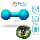 Đồ Chơi Cho Chó Tạ Cao Su Chuông TPet Nhai Gặm Sạch Răng - Paddy Pet Shop